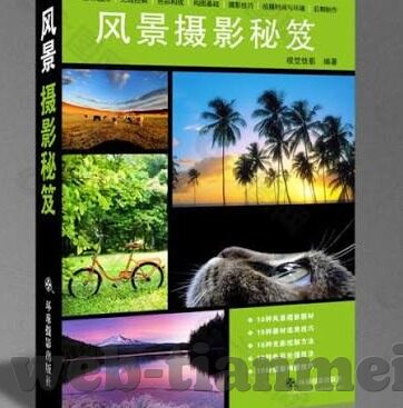 91麻豆app破解版-揭秘91麻豆APP，当诱惑与违法行为交织的迷思