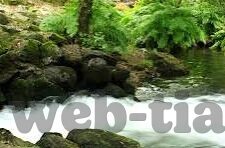成人va在线视频-成人va在线视频，网络时代的文化与伦理边界