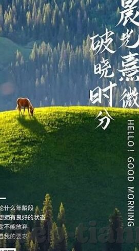 国模麻豆人体大尺寸视频-通过深入探讨国模与艺术摄影的跨度