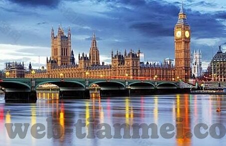 麻豆国产app-麻豆风采，国产APP的独特魅力与前景探索