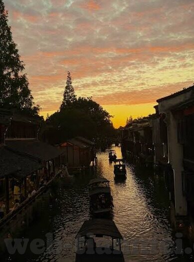 麻豆在观看夜蝶视频-麻豆生活中的惊喜，邂逅夜蝶视频的不期之缘