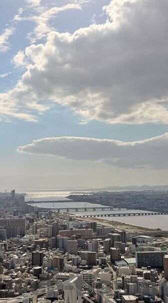 麻豆在线看视频-
