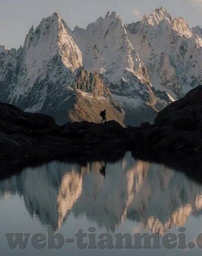 免费下载糖心app-探索智能生活的便捷，免费下载糖心app的温馨之旅