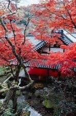 日本成人在线电影视频-探索成人娱乐文化的边界，日本成人在线电影视频的多元视角