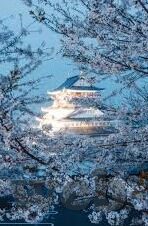 糖心app免登录-探秘情感交流的私密空间——糖心app的隐秘角落