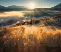 糖心官网地址-糖心官网的魅力与实用性——探索互联网新窗口的独特之处